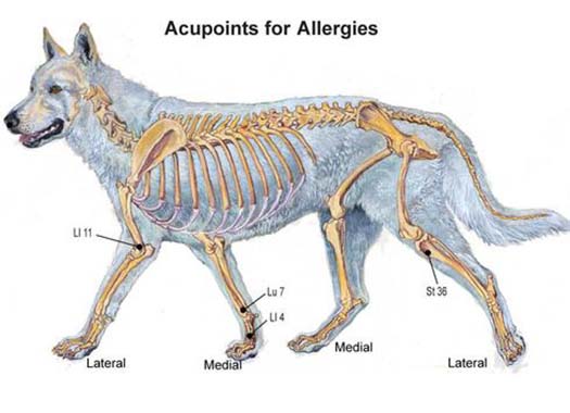 skin issues and acupressure