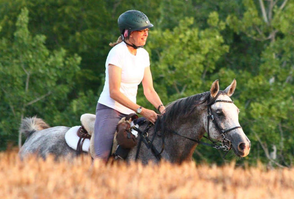 Image of horse showing acupoints used to promote sweating